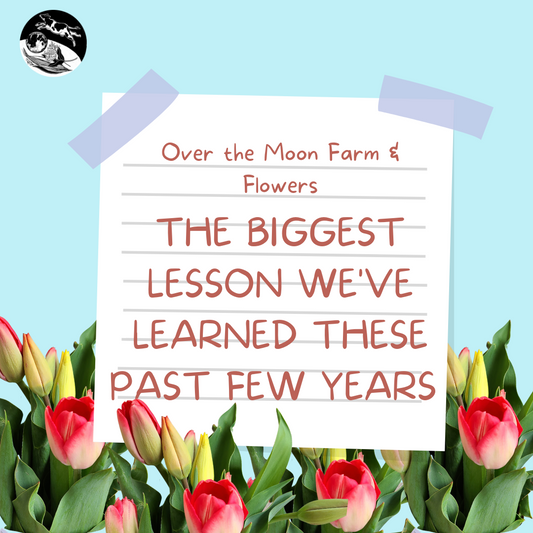 The Biggest Lesson We've Learned These Past Few Years....