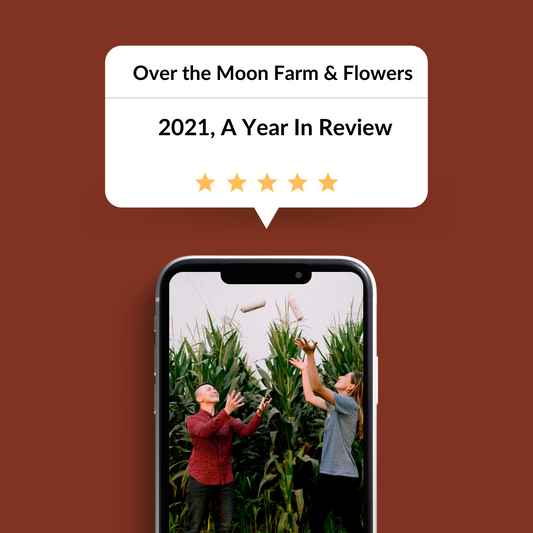 2021, A Year in Review
