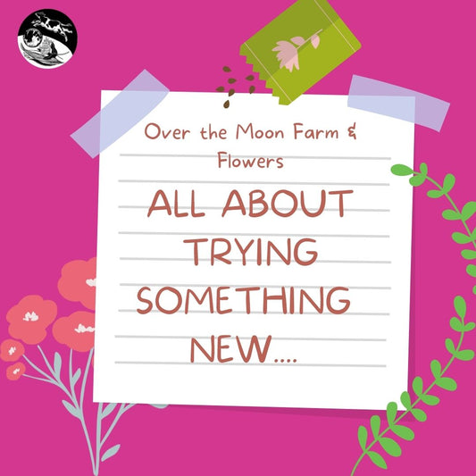 2022 is All About Trying Something New