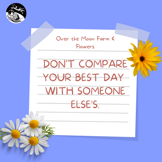 A Little Piece of Advice From Over the Moon