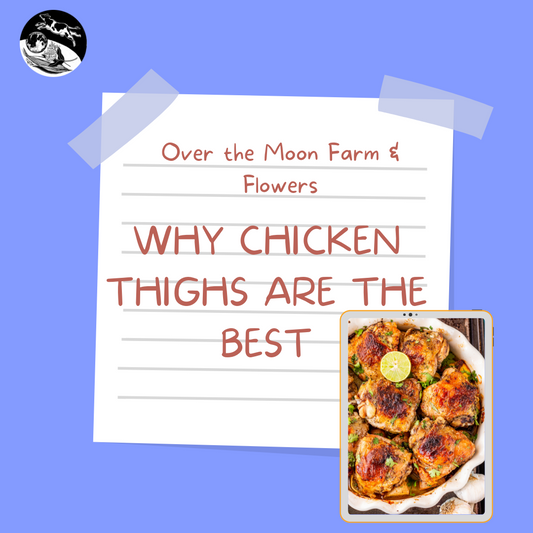 Why Chicken Thighs are the BEST