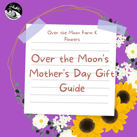 Over the Moon's 2022 Mother's Day Gift Guide
