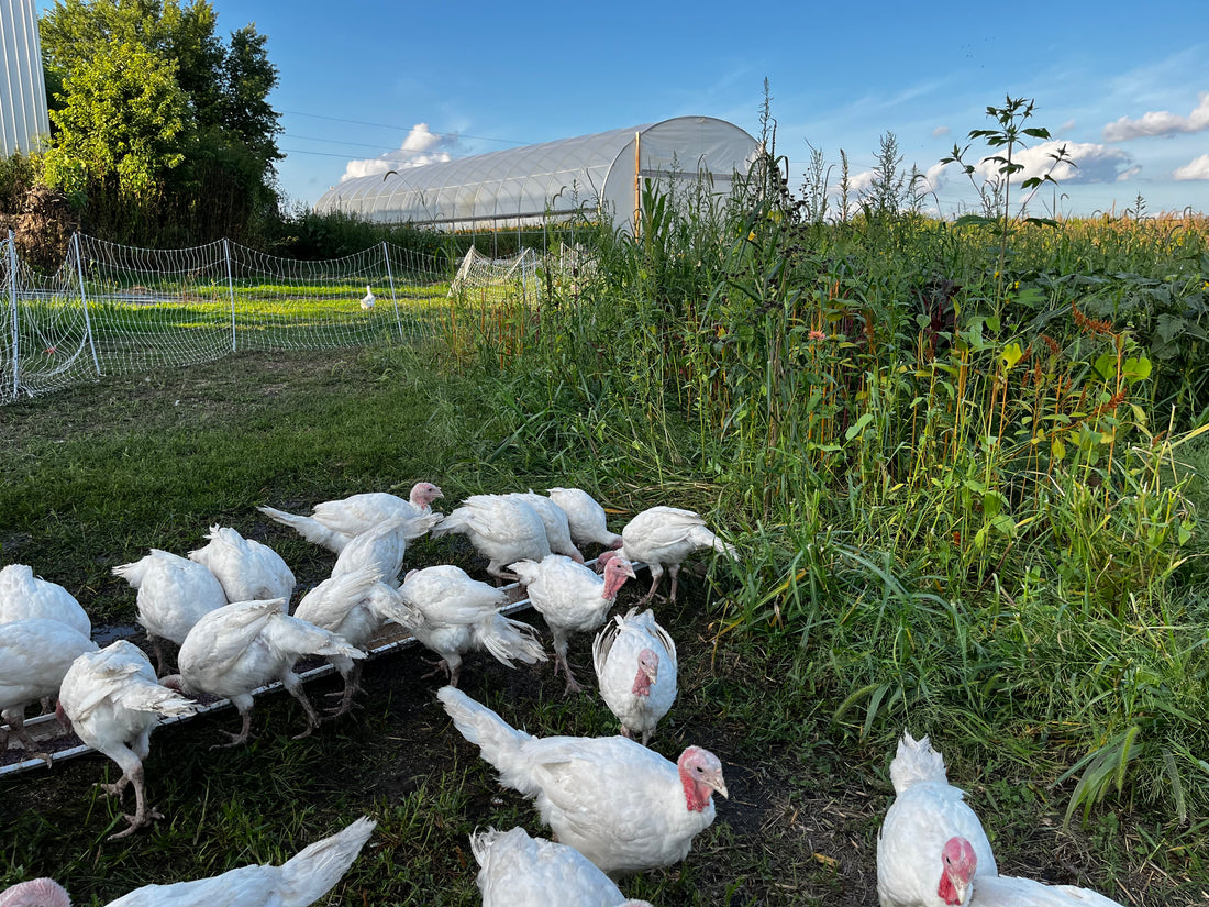 What do Pastured Poultry Farmers Do in the "Off Season?"