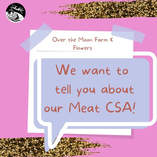 All About Our Meat CSA!