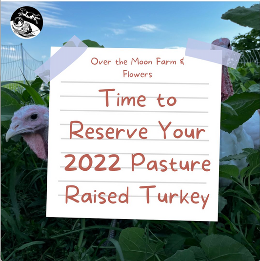 Eastern Iowa -- It's Time to Reserve Your Pasture Raised Thanksgiving Turkey